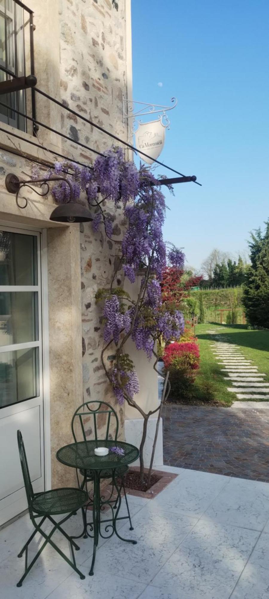 Relais Ca' Morenica Valeggio sul Mincio Exteriör bild