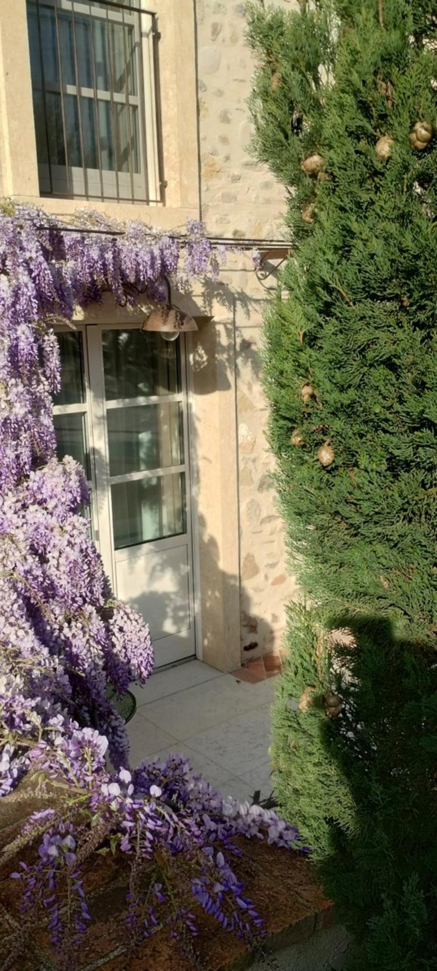 Relais Ca' Morenica Valeggio sul Mincio Exteriör bild