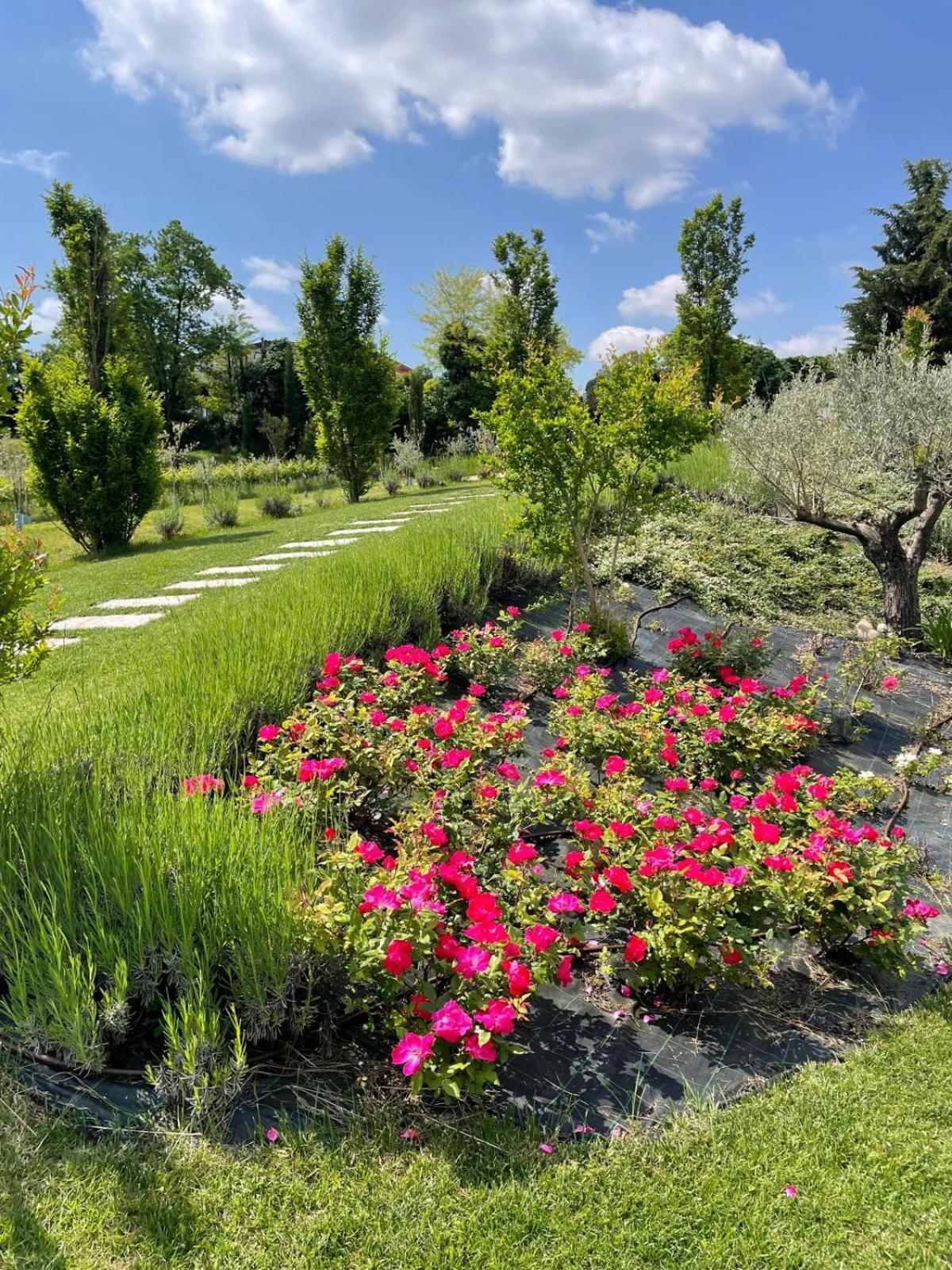 Relais Ca' Morenica Valeggio sul Mincio Exteriör bild